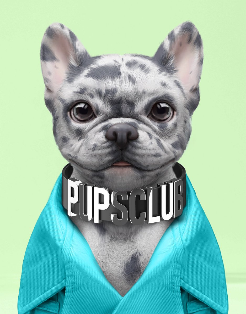pupsclub's tweet photo. Bullish on you 👊🏻🐶🐾🐾✨☀️👋🏻👋🏻 https://t.co/4qYvkeE351