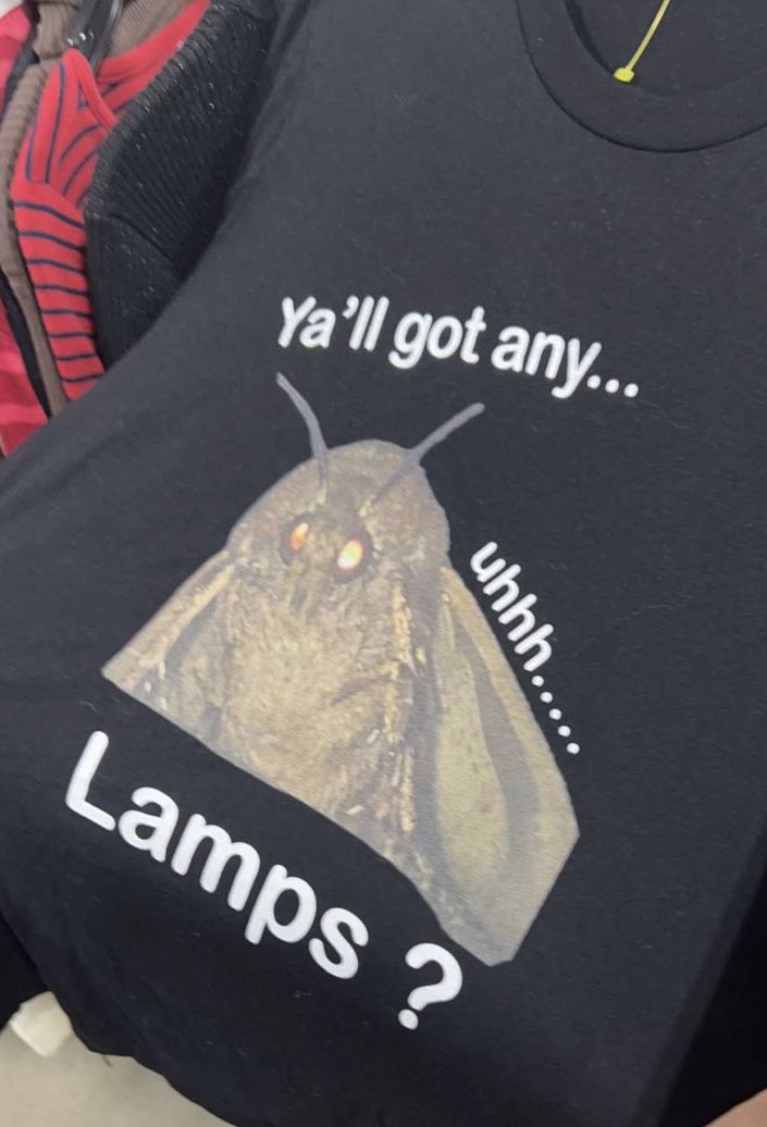 Weird Thrift Store Shirts tweet media