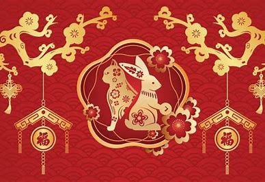 People of Vietnamese descent celebrate Tết.  Rather than welcoming the Year of the Rabbit, Vietnamese people celebrate the Year of the Cat.  The Cat is believed to bring a smooth sailing year filled with good luck! #LunarNewYear