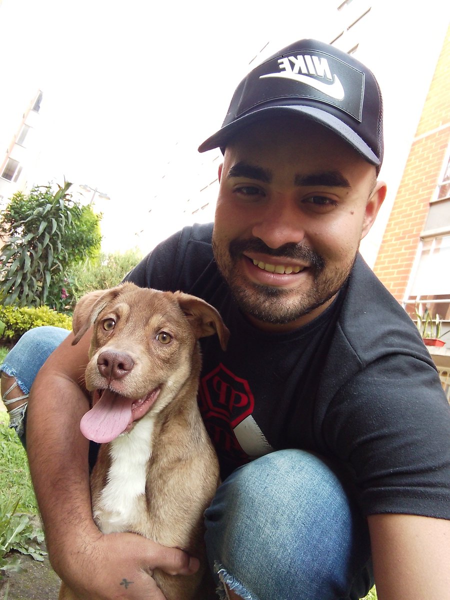 carlosuseche590's tweet image.