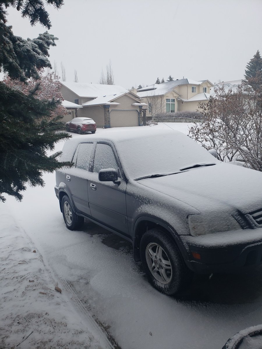 Woke up to this. #WTF mother nature

#yyc #calgary ##IsItSpringYet