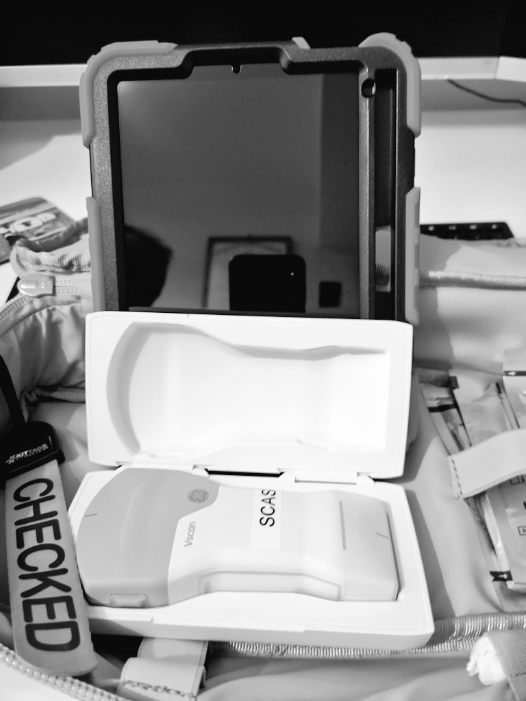 SCAS BASICS tweet media