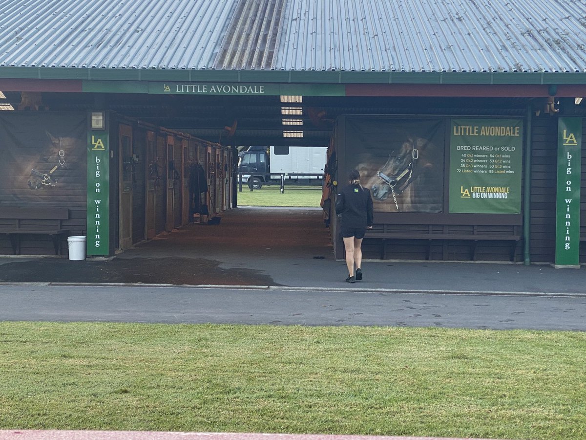 Sam Williams (@littleavondale) on Twitter photo 6.48am Monday morning here <a href="/KarakaChat/">New Zealand Bloodstock</a> and we open for inspections as of 10.30 am today👍👍👍 6.48am Monday morning here <a href="/KarakaChat/">New Zealand Bloodstock</a> and we open for inspections as of 10.30 am today👍👍👍