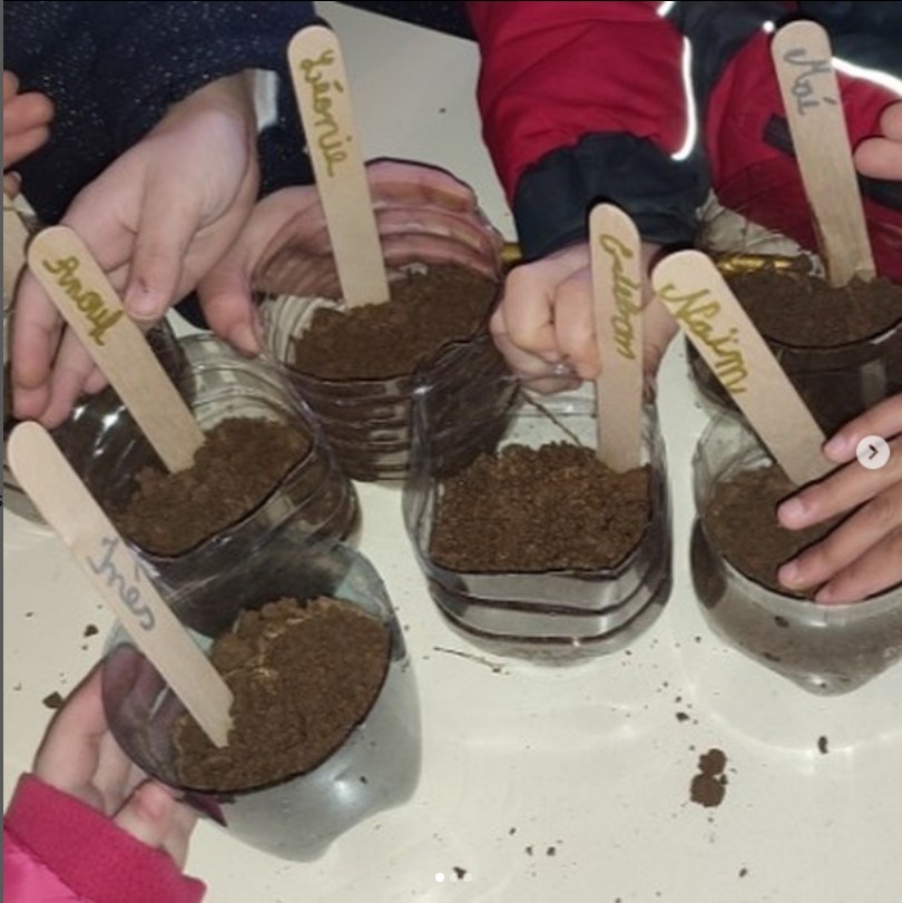 Venours_Acampus's tweet photo. PIC (Projet d'Initiative et de Communication) des BTS: Matinée pédagogique avec les élèves des classes de CP et CE1 de l’école de ROUILLE : « à la découverte de l’agriculture ». 3 ateliers : plantation de graines, découverte animaux de la ferme, graines cultivées. https://t.co/615ZtwU6cT