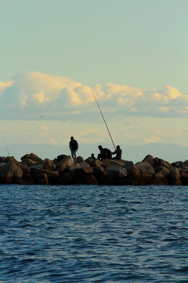 pabloovz23's tweet image. Ayer me fui a la playa con una toalla y la cámara de fotos, espero que os gusten ❤️ #fotography #photooftheday