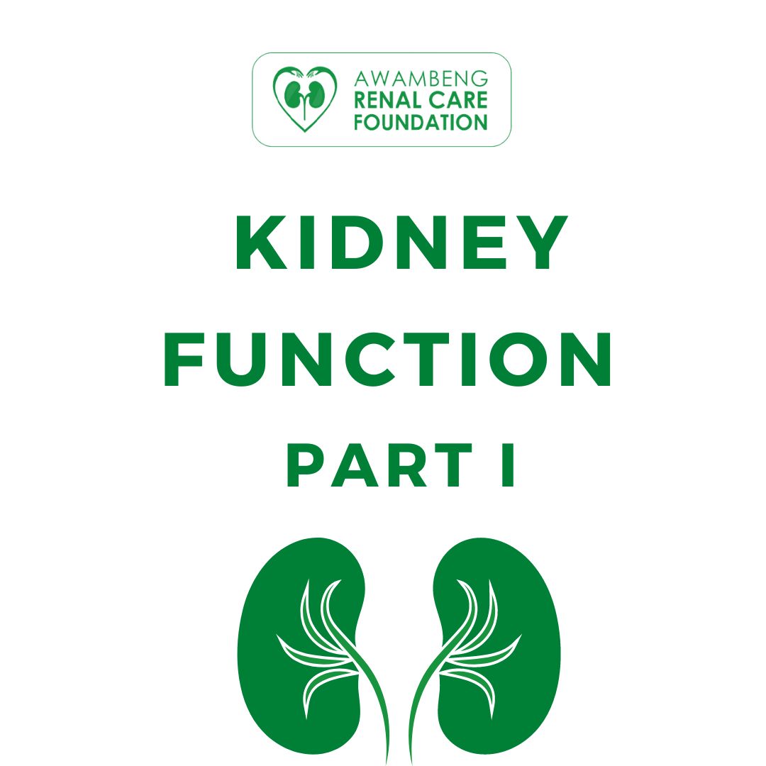 AwambengF's tweet photo. Even when you are healthy and have no indications of kidney damage, it's very important to make sure your kidneys stay healthy.
As this organ is extremely important to your well-being, let's check easy ways to implement into your daily routine to take for your kidneys.
#arcf https://t.co/3pS2NePfTT