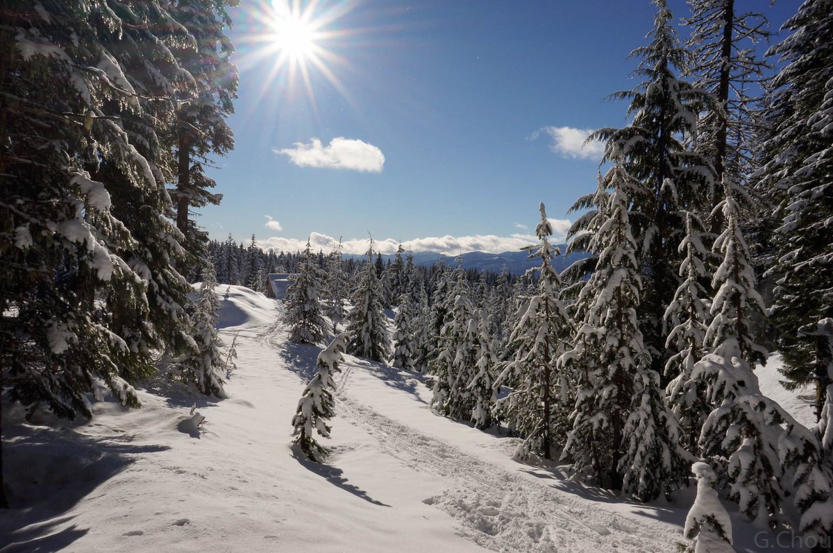 ForestServiceNW's tweet photo. “Nature is loved by what is best in us.”

—Ralph Waldo Emerson https://t.co/PpZr8M9eue