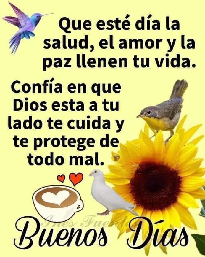 oscartoapanta71's tweet photo. @AyovyJuan Hermoso día princesa hermosa 😘😘😍 https://t.co/lbD1343CVQ