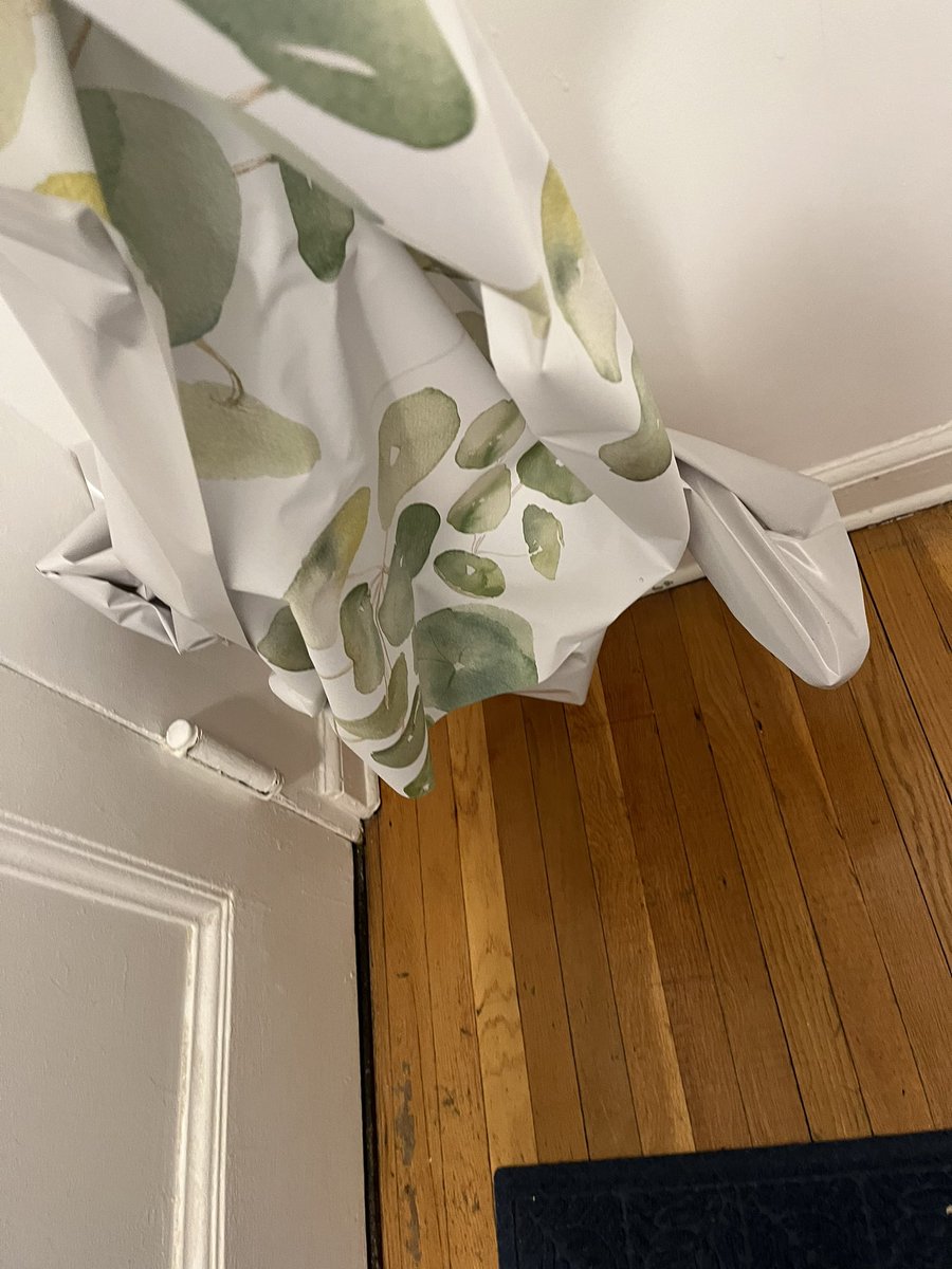 Kaja Whitehouse tweet media