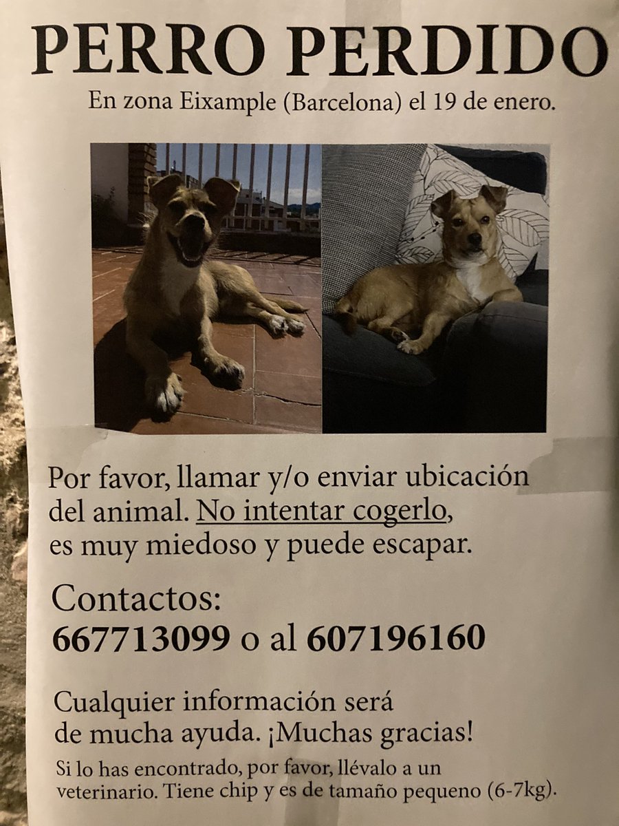 BiciMekánic 🐾 🇪🇭 (@solounlunatico) on Twitter photo 