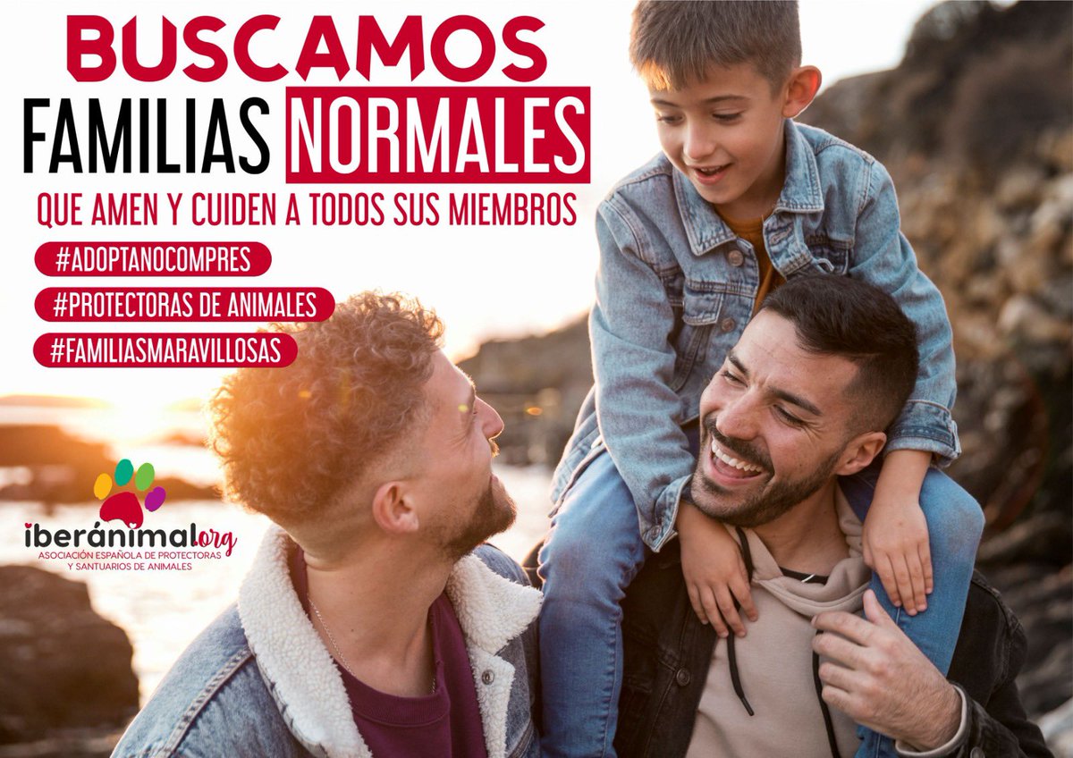 iberanimal's tweet photo. ♥️🐾♥️
Todos los animales que están en las protectoras esperando una familia, jamás te van a juzgar. Solo esperan amar y ser amados sin ninguna condición.
Completa tu familia si estáis preparados para amar y que lo hagan TODOS los días.
#protectorasdeanimales #AdoptaNoCompres https://t.co/TE9aZYXE8c