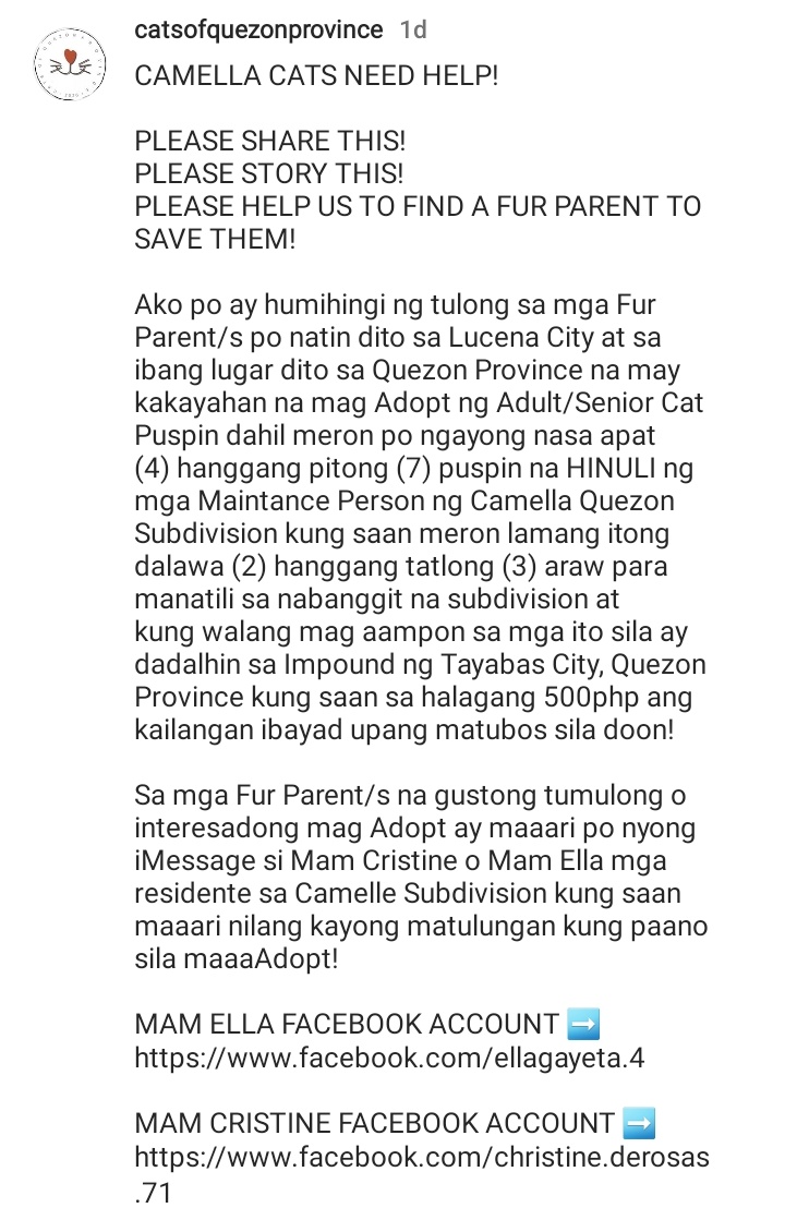 PrincessFrance's tweet photo. Mayaman na kayo, mga Villar! Konting compassion naman sa mga nilalang na walang laban sa inyo! @Cynthia_Villar @_camillevillar https://t.co/KUH6vFVLmv