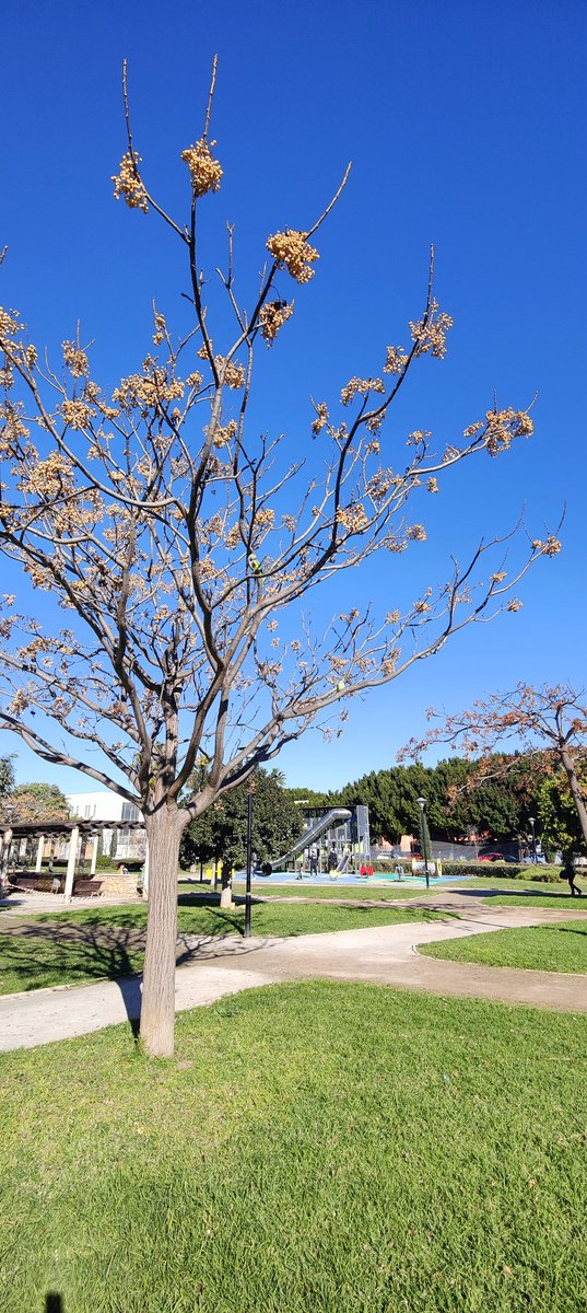 csanzmartin's tweet photo. Días de parque y paseos https://t.co/wtzAq2gvMo
