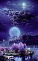 القرآن والذكر
والاستغفار أدوية ناجحة
لكل كدر وضيق...