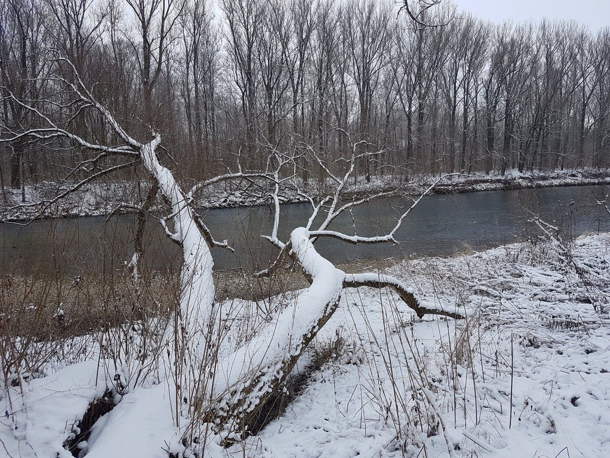 Ivanya76737556's tweet photo. #peakerstreak23
Day 22🚶‍♀️❄✅
@MyPeakChallenge @SamHeughan @CoachValbo @RealAlexNorouzi @GermanPeaker https://t.co/TvE5twoc5Z