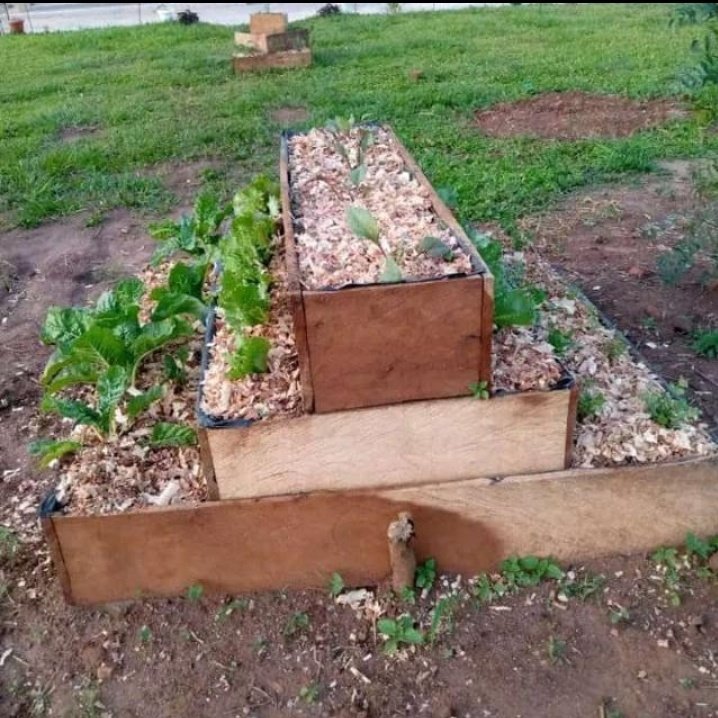 umbrella_uganda's tweet photo. #Ubarn gardening https://t.co/aIgY0wsmsE