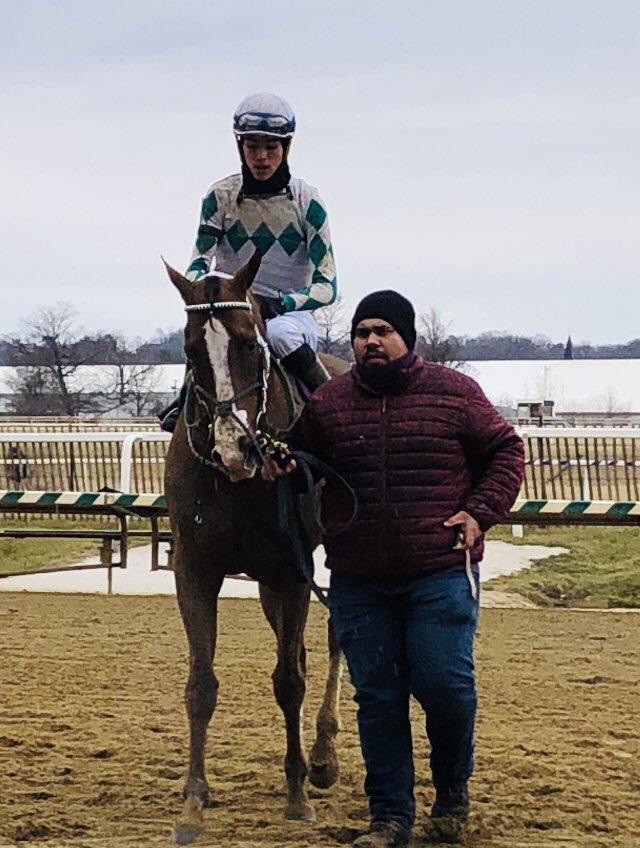 Maryland Horsemen tweet media