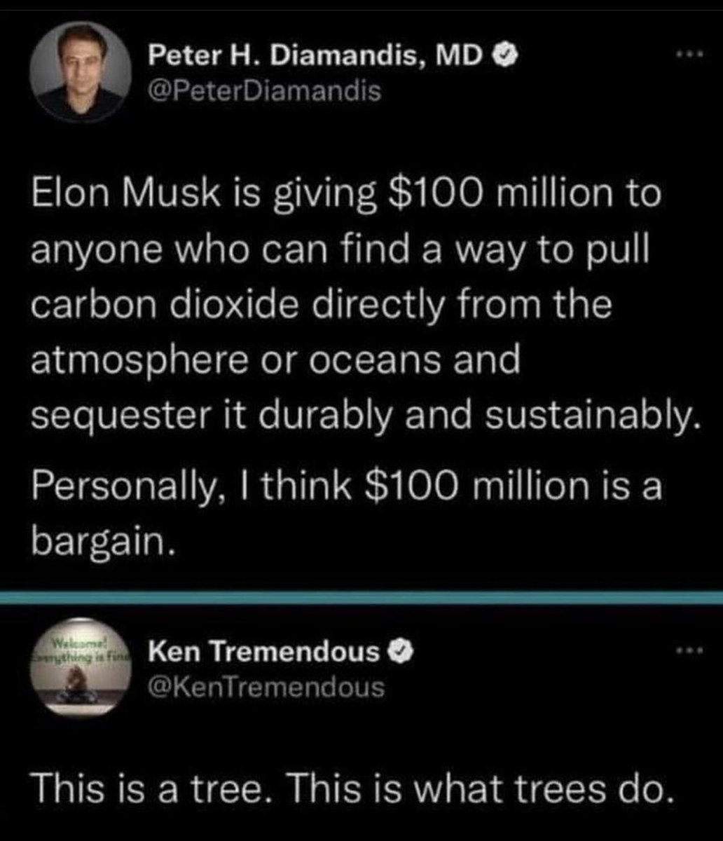 zei_squirrel's tweet photo. https://t.co/6E0RHP5JOE