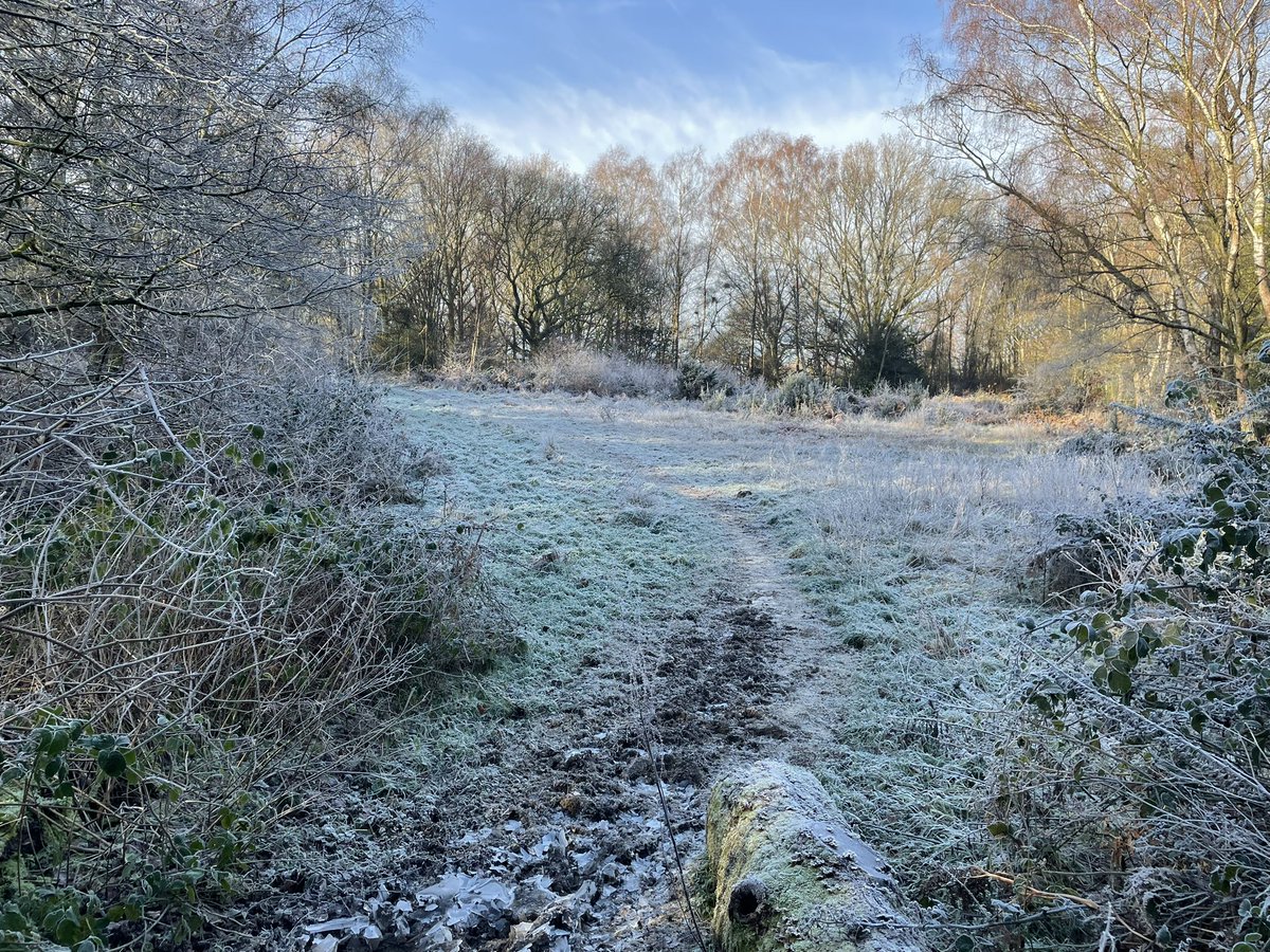 PiedATerreAdventures tweet media