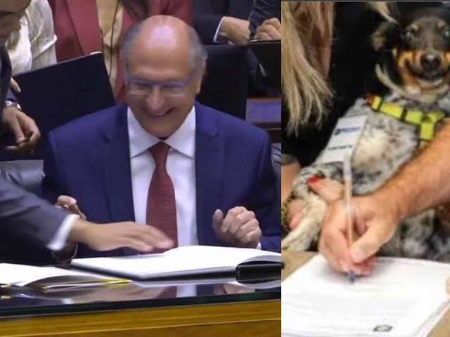 ruanmoura__'s tweet image. 