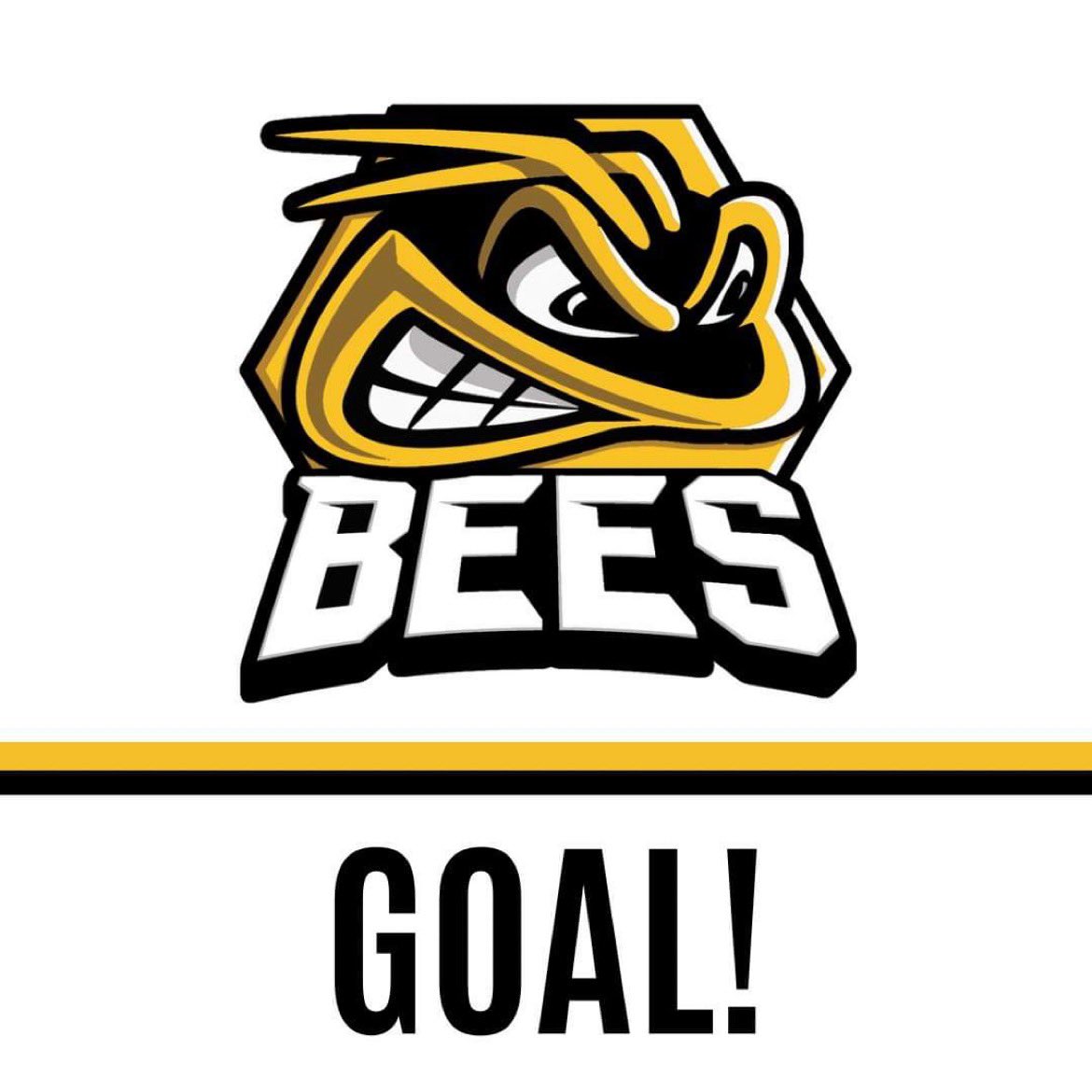GOALLLLL BEES

PowerPlay Goal @ 33:18

Scored by #96 Brendan Walkom assisted by #23 Domink Gabaj and #94 Stuart Mogg

Phantoms 4-1 Bees