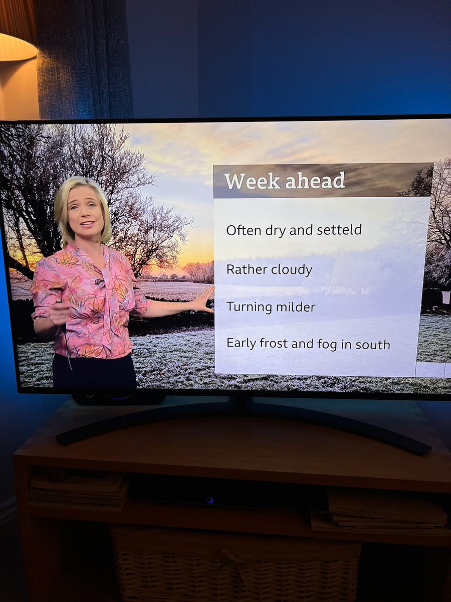 perry champion tweet media