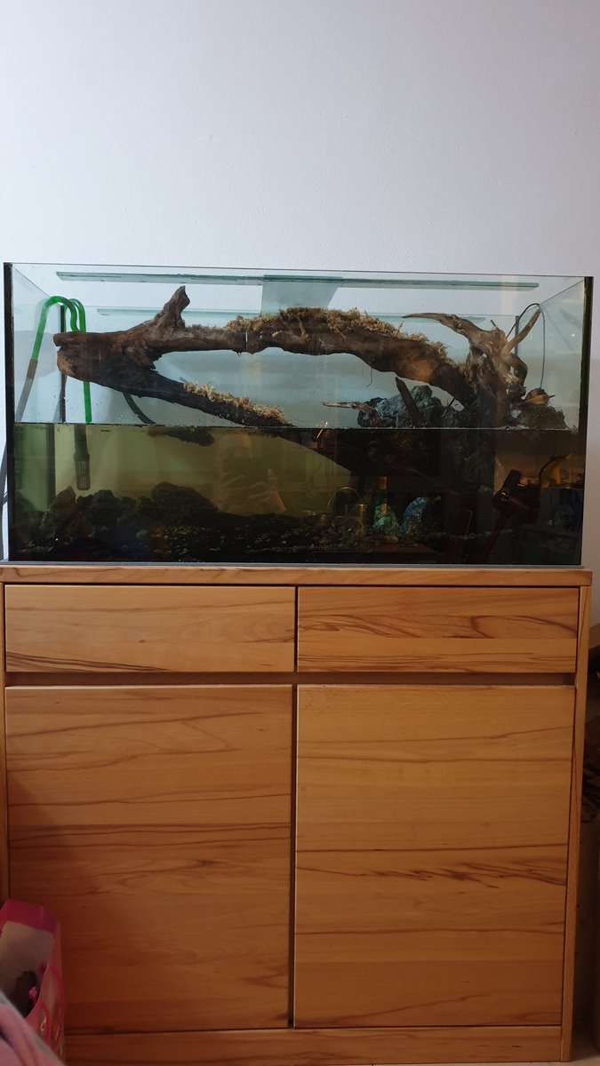 Mina Athene tweet media