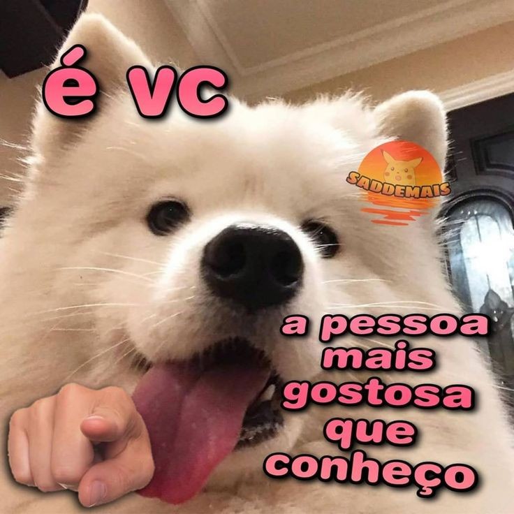 aurryaginger's tweet photo. @shitpostverdade https://t.co/gozXwupxid