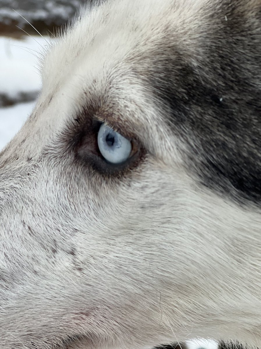 La dernière fois je te disais que je n'avais pas vraiment trouvé ma vision pour #2023.

Alors j'ai réfléchi (et ouais ça m'arrive...) et j'ai fait mon introspection 🧘🏻‍♂️

Prends du temps et pose toi ces 7 questions pour trouver ta #vision de l'année en cours ⤵️
