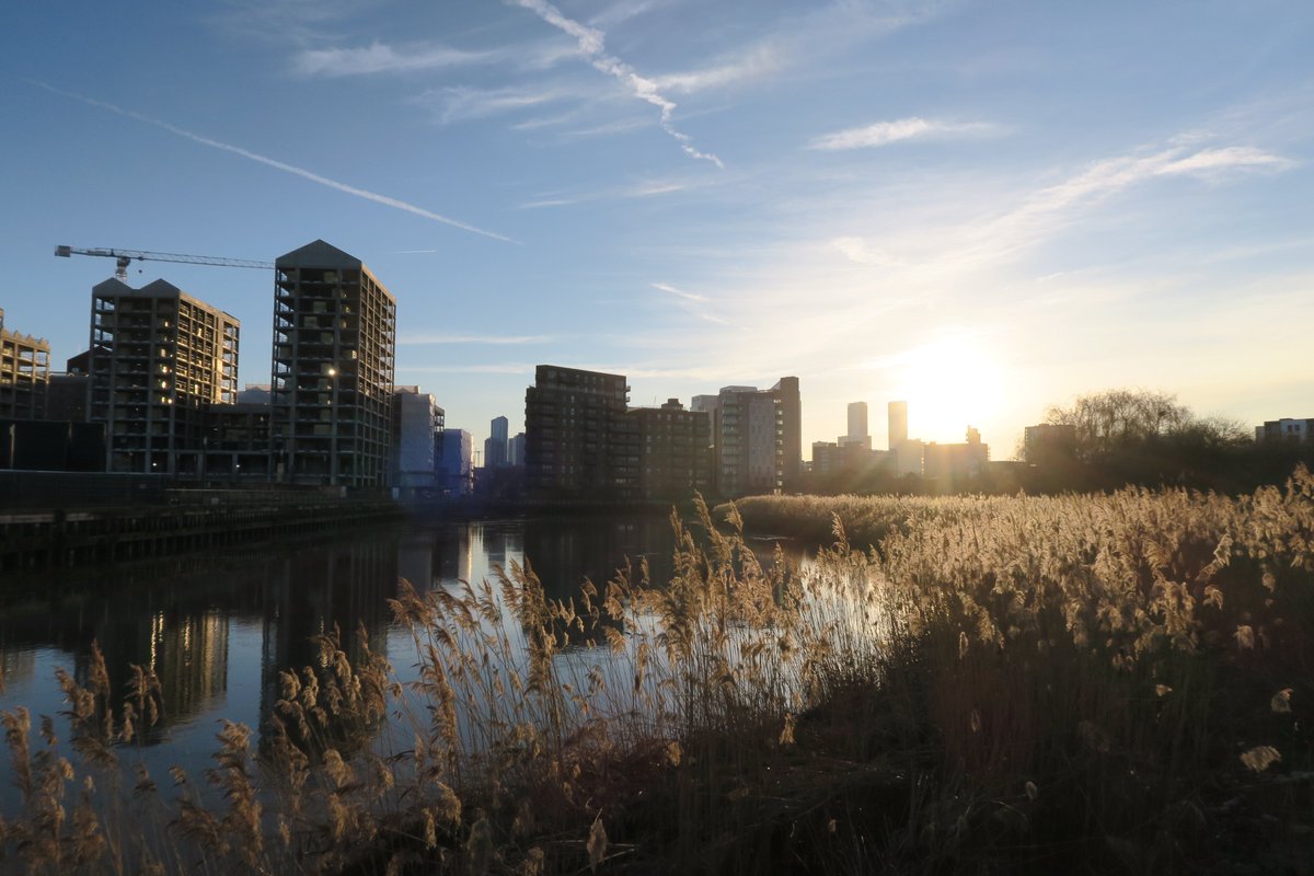 Walking the quiet paths of Bow Creek, where the River Lea meets the saltwater of the Thames. Once heavily industrial, growth is now residential & high-rise, but the riverside path remains peaceful. @CodyDock's café is a great spot to refuel. 1/2