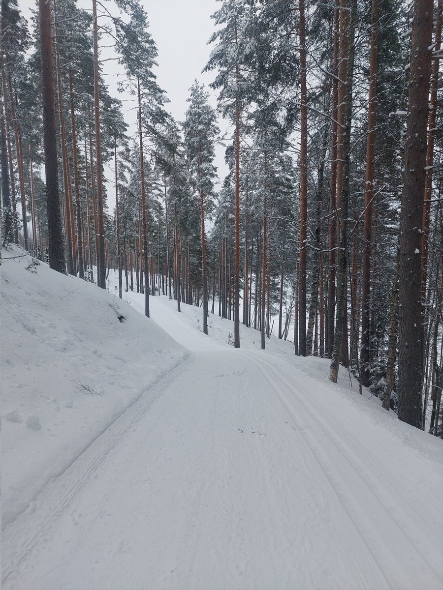 KS_Elina's tweet photo. Nyt oli viikonloppu minun makuun 🤩. Sain hiihtoseuraa Helsingistä, lähes 50 km viikonlopun aikana. Tää meni lomasta. #pärnävaara #hiihto #liperi https://t.co/RViTmr6fjg