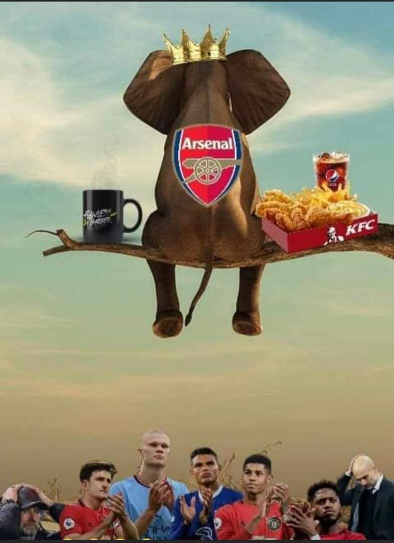 NHartim's tweet photo. just a quick reminder. as you can all see ARSENAL the elephant is still at that little branch above everyone and he is still stuck there.... WHAT A GAME https://t.co/UbtZlAyyMu