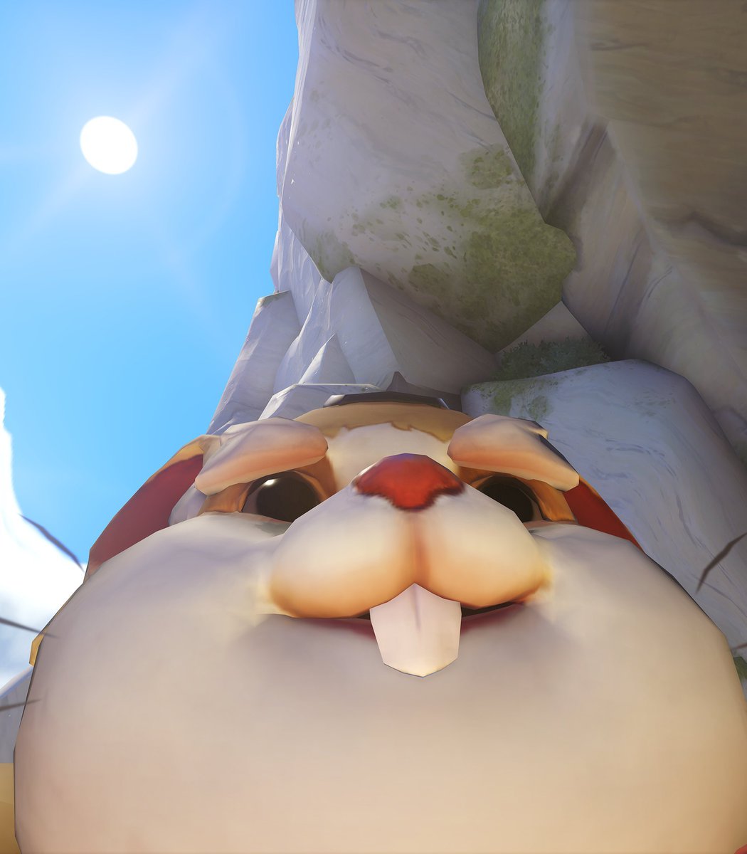 Smileyomama🇵🇸🇺🇦 tweet media