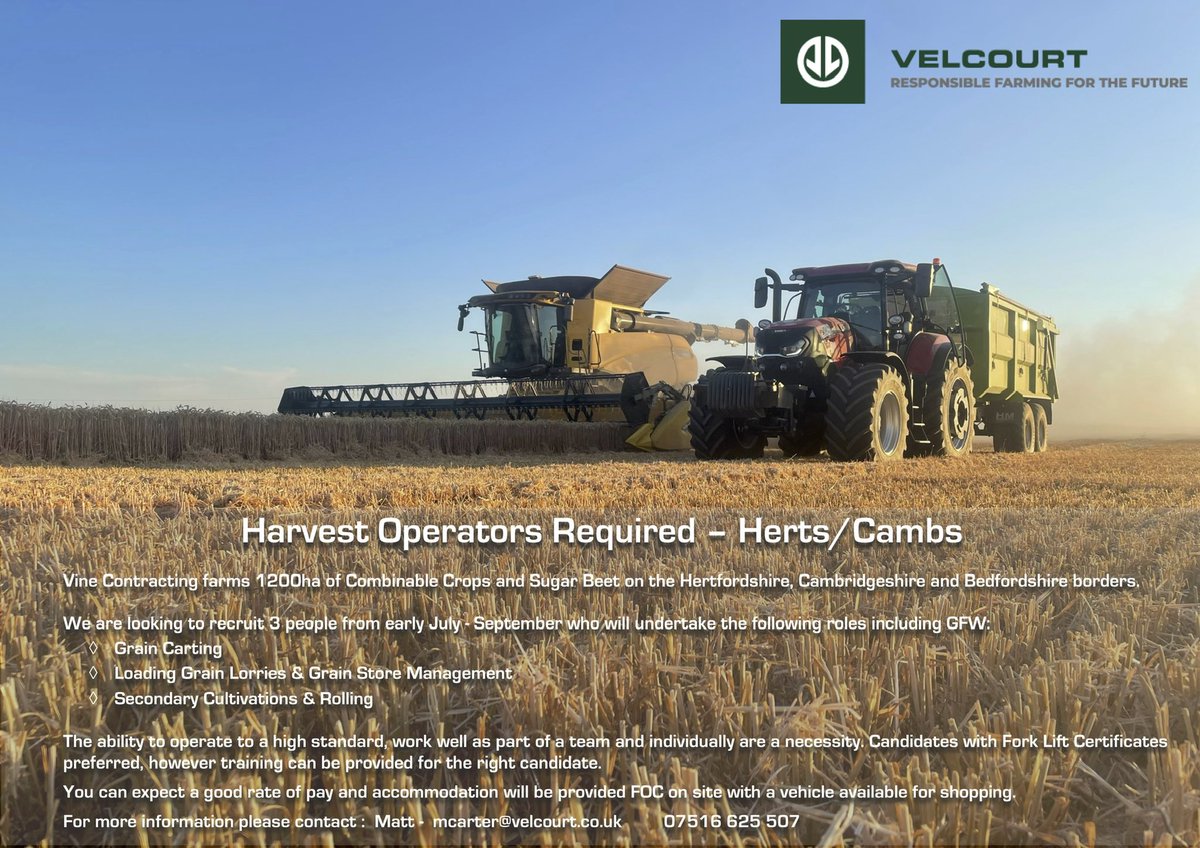 Matthew Carter tweet media