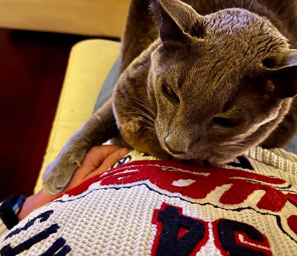 Little big friend 

#catsofinstagram #bluerussian #furryfriend #sundayvibes #couchlife instagr.am/p/Cnum63gLXgg/