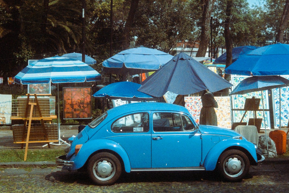 Alec Ploof tweet media