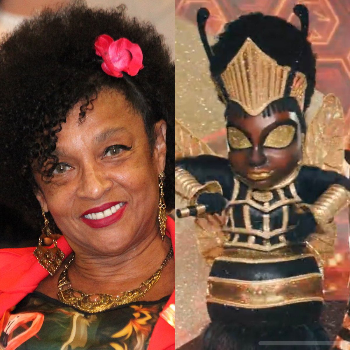 pauloomaciel's tweet photo. #TheMaskedSingerBR certeza que a Abelhinha é Elisa Lucinda! Maravilhosa ❤️❤️ https://t.co/jPIUgZNNsV
