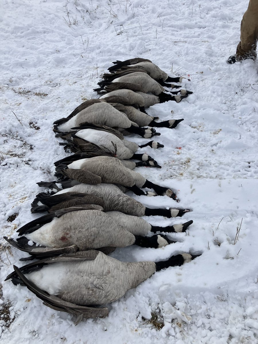 HRouse13's tweet photo. Sunday Funday! 💥 💥 https://t.co/pmxajzuGct