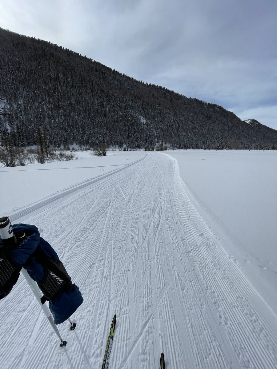 wilson.base.eth tweet media