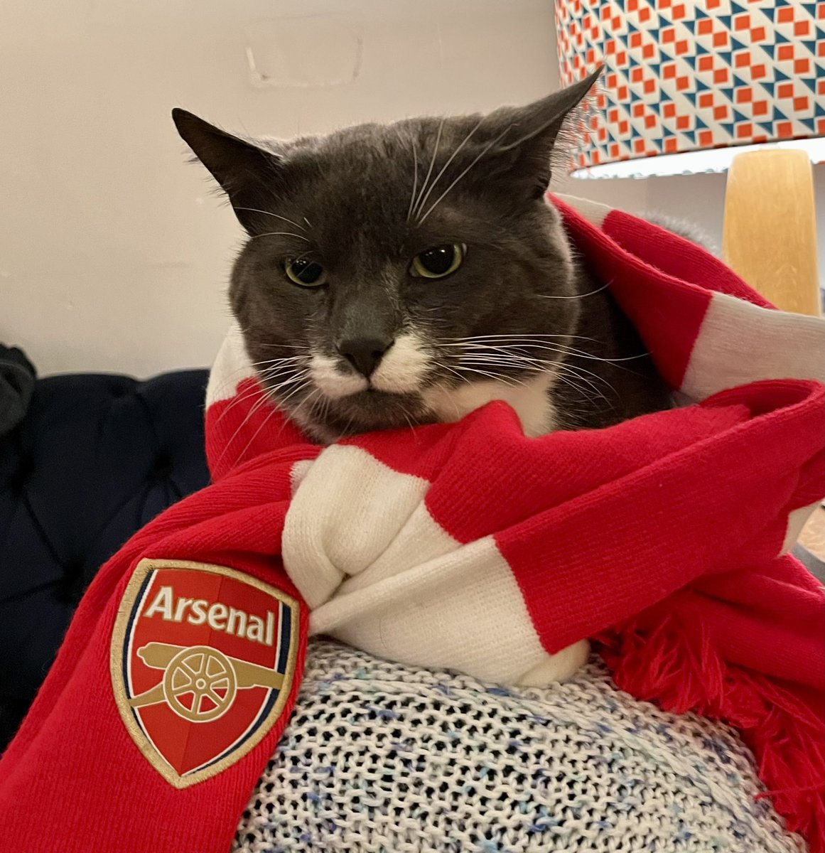 Lucy Davies💚 tweet media