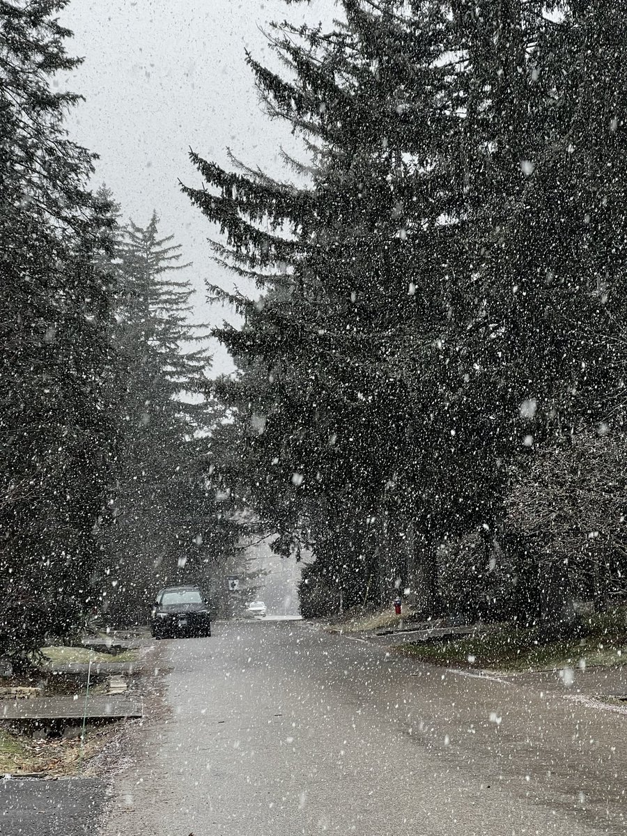 Christie_P83's tweet image. #snowproblems❄️
#Canadiansarebuiltforwintereveniftheirleggingsarenot