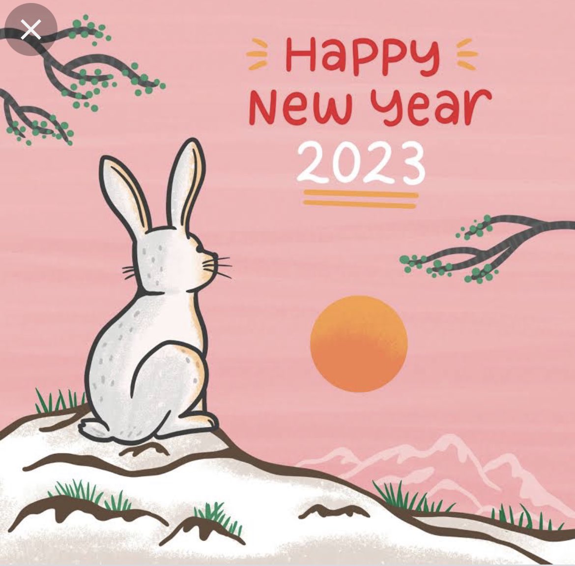 Happy Chinese New Year to everyone celebrating today