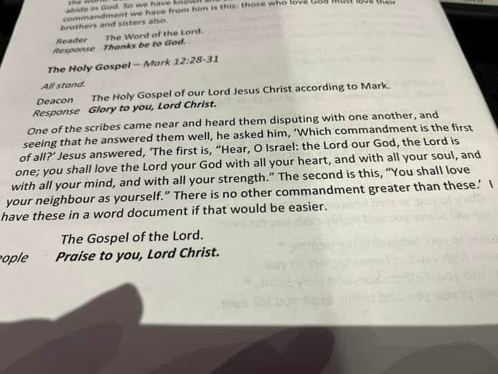 CanaryCaroline's tweet image. Thinking about sending this to all our authors to highlight the importance of proofreading. On the other hand, horses, water etc