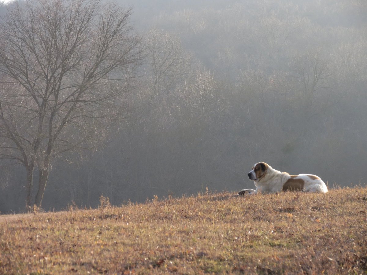 Athena
#onthefarm