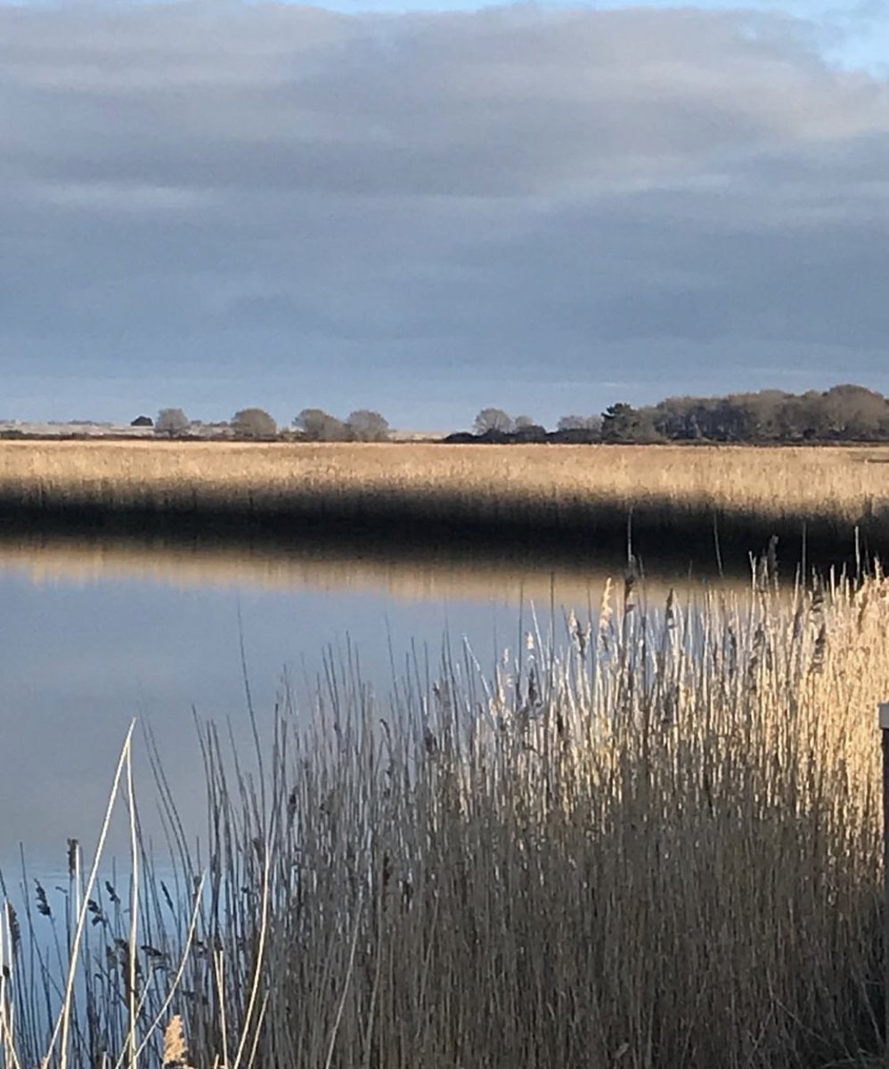 Sharing this gorgeous photo of a view across the River Alde at Snape today, taken by our supporter @susiehammondart. A peaceful and tranquil scene with the reed beds edged along the water.
#riveralde #snape #floodaware #riverwalls #charity #fundraising #suffolk