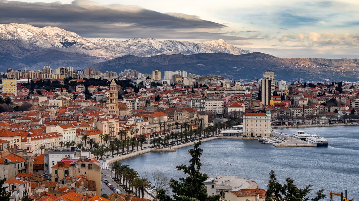 Yuya Matsuo tweet media