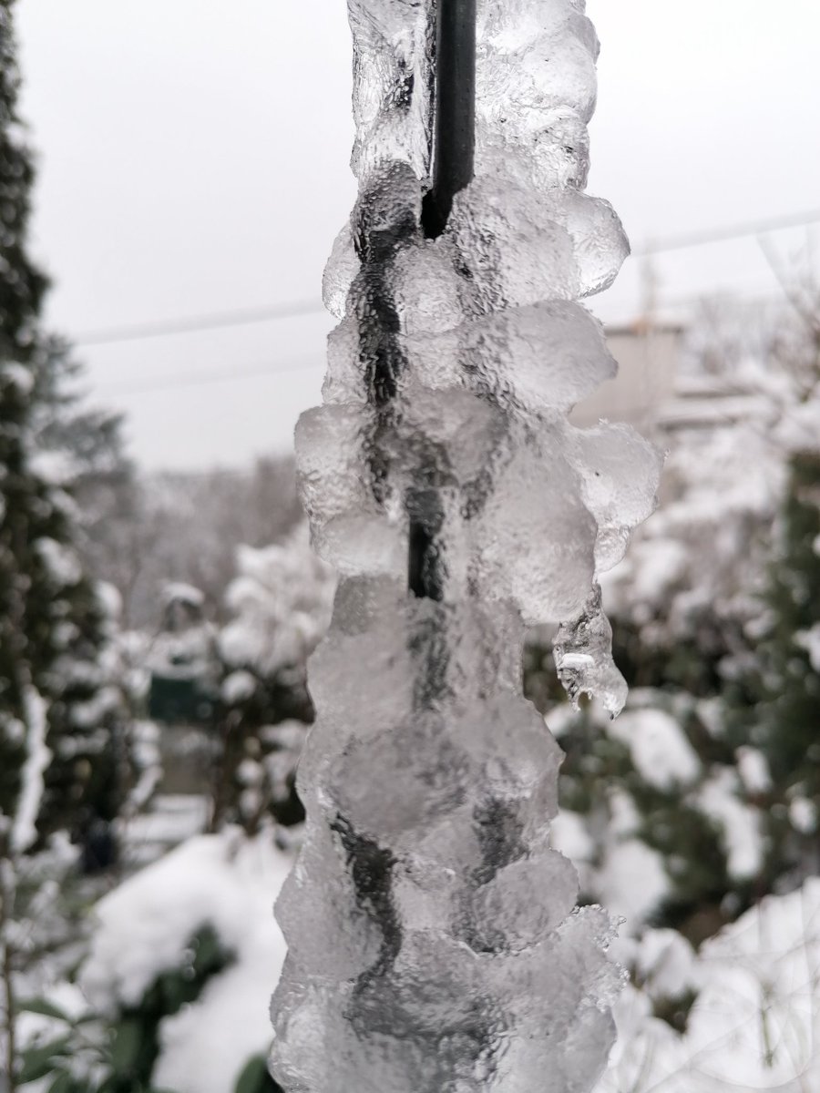 TomderZar's tweet photo. Noch ein paar Eindrücke vom Winter, wie ich ihn mag 🥰❄️
#garten #dailyfleets #garden #kleingarten #gartenlogbuch #wienliebe #wienmalanders #vienna #schrebergarten #january #jänner #januar #snow #schnee #winter #blaumeise https://t.co/pZ6spc3xZs
