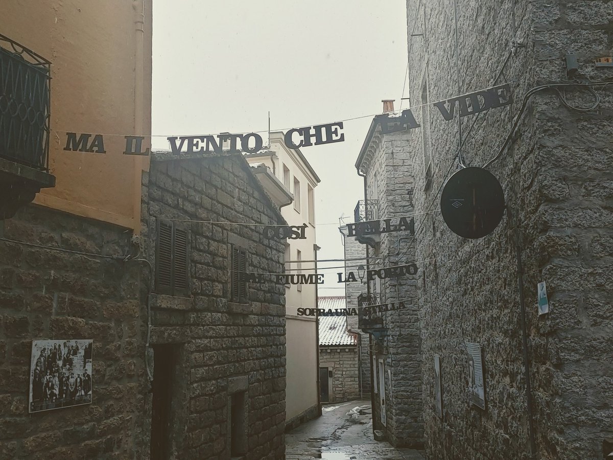 ierogamos's tweet image. Ma il vento che la vide così bella
Dal fiume la portò
Sopra una stella🎶🎶
#Tempio