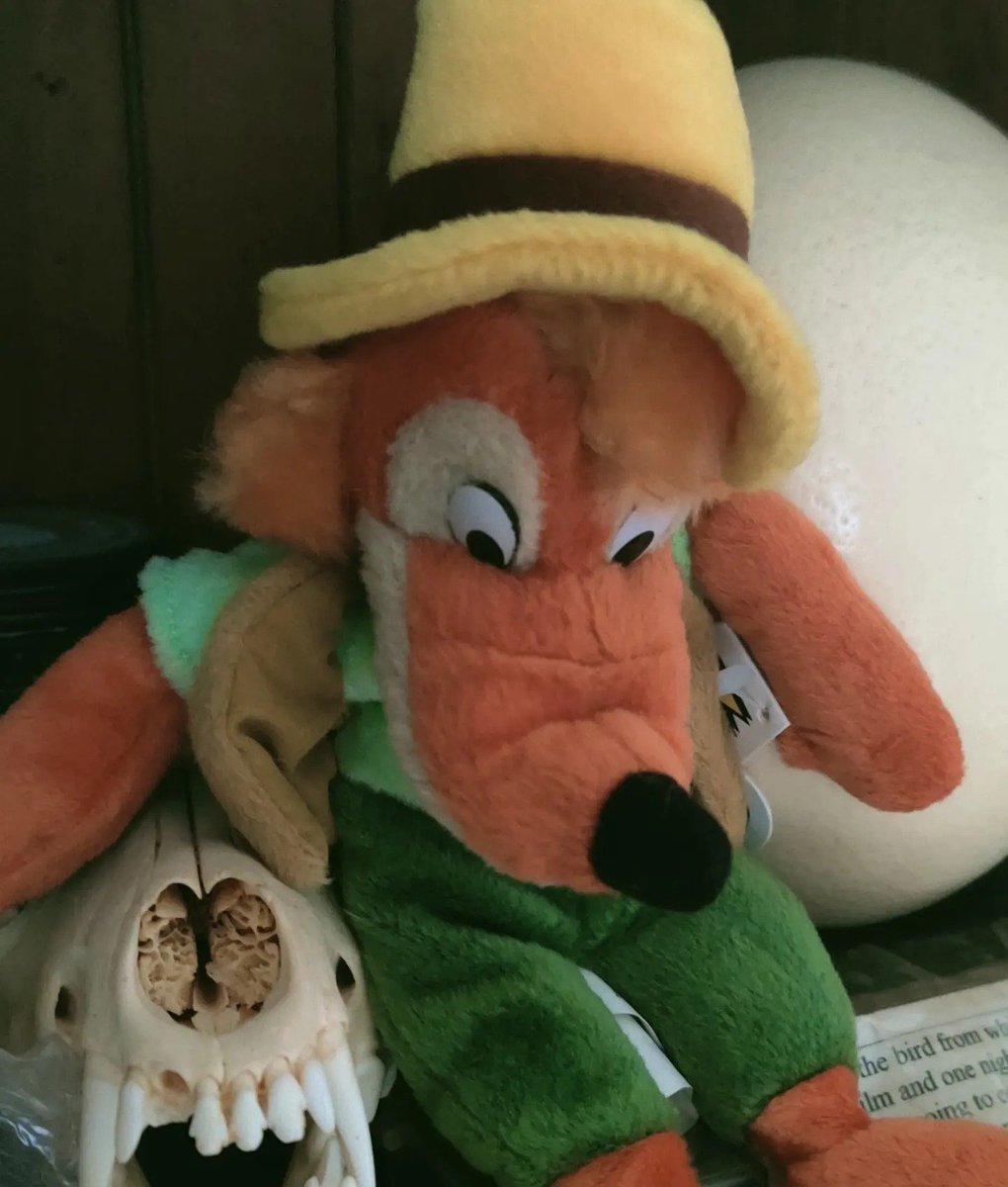 MacBethsOpinion's tweet image. Sad #brerfox.