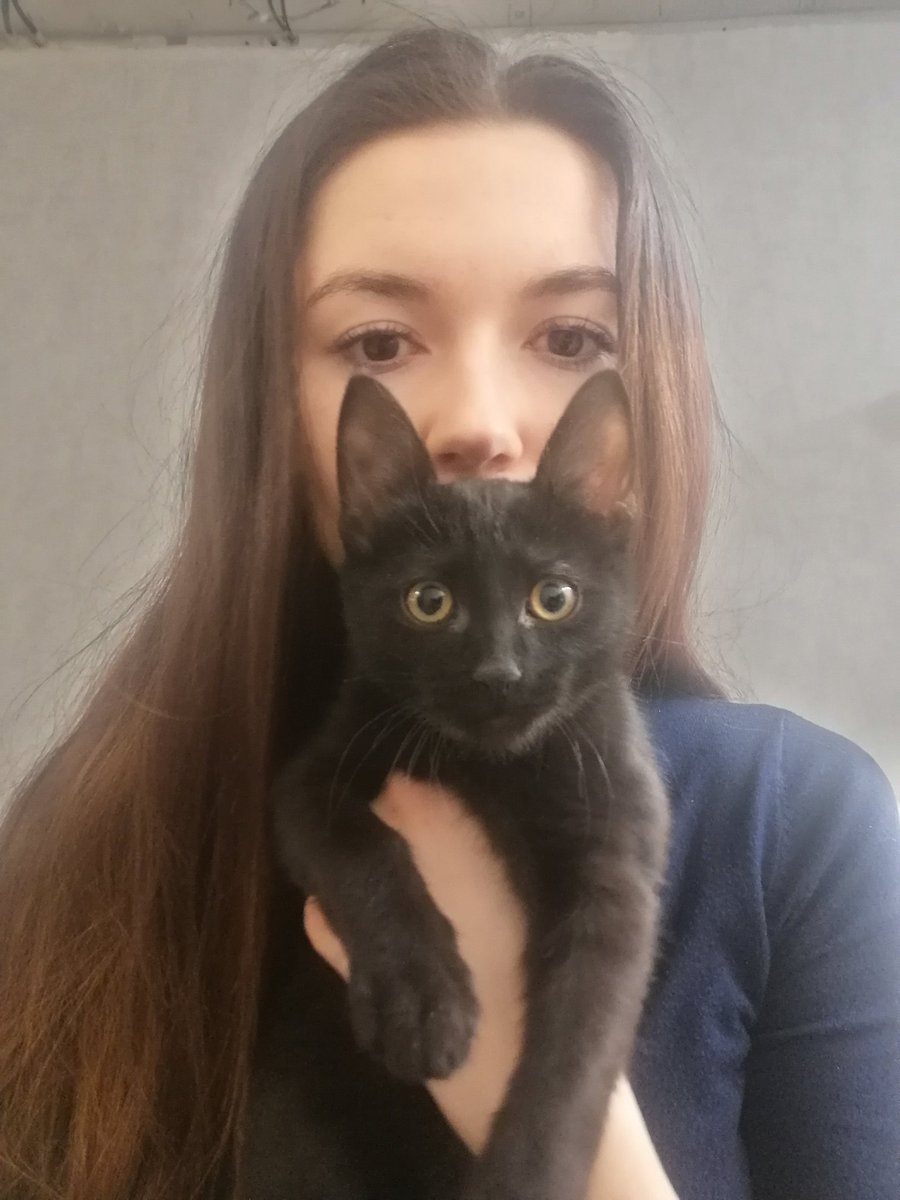 Кошачьи